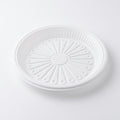 Plastic Plate P4