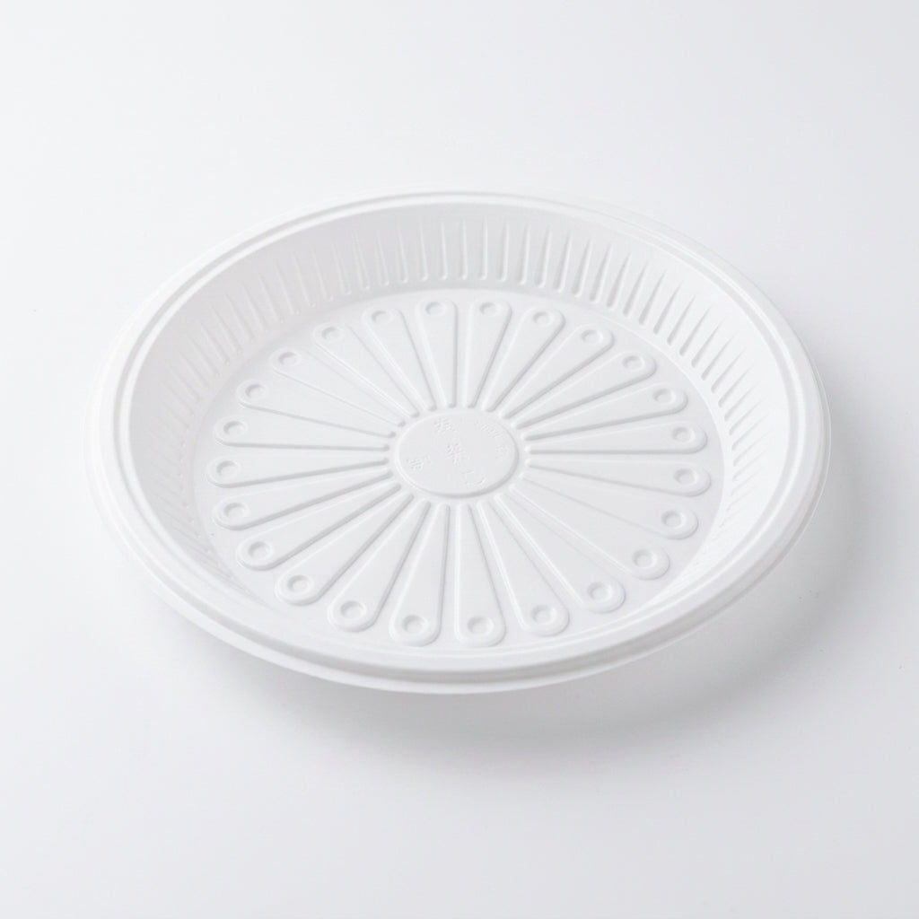 Plastic Plate P4