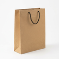 Paper Bag Large - 9.5x12x3